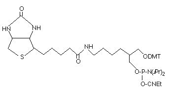 biotina